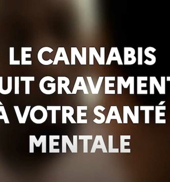 Campagna MILDECA sulla cannabis