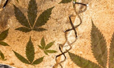 Dieudonné e cannabis