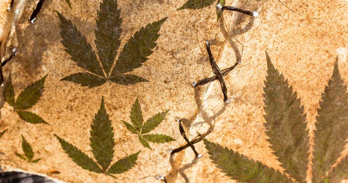 Dieudonné e cannabis