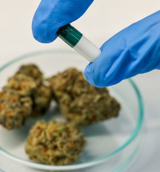 Cancro nei giovani e cannabis