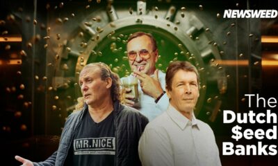 Banche di semi di cannabis olandesi