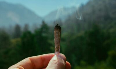 Sentieri e cannabis