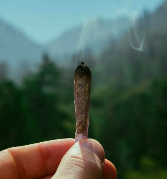 Sentieri e cannabis