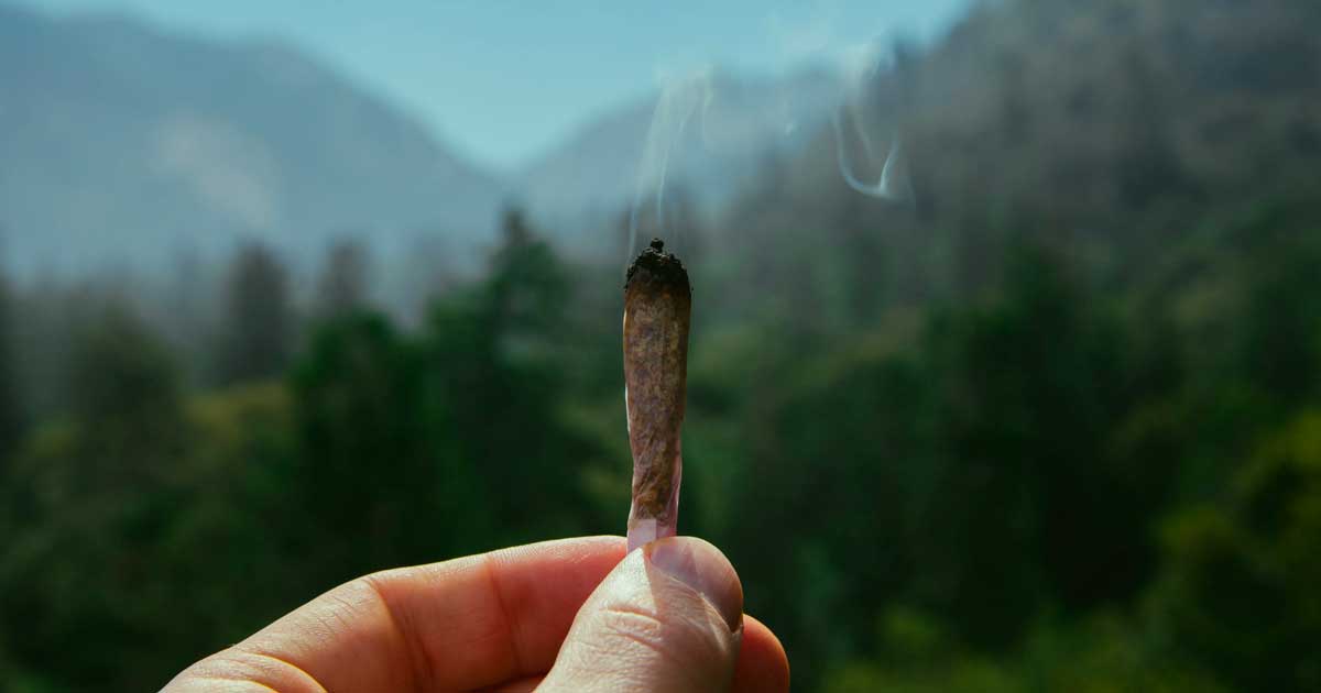 Sentieri e cannabis