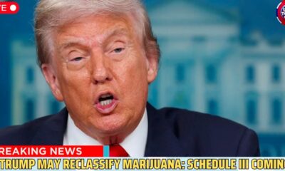 Riclassificazione della cannabis negli Stati Uniti
