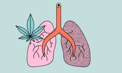 Studio sull'effetto della cannabis e del tabacco sui polmoni