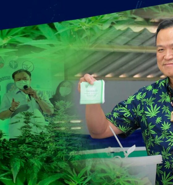 Primo ministro pro-cannabis in Thailandia