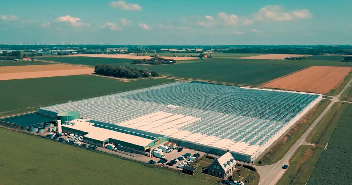 Odori molesti a Canadelaar