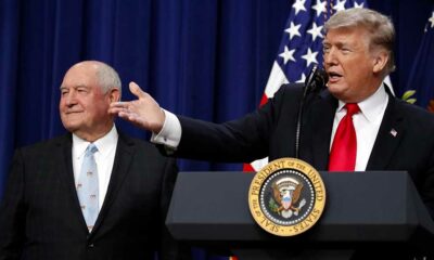 Trump promuove il CBD per gli anziani