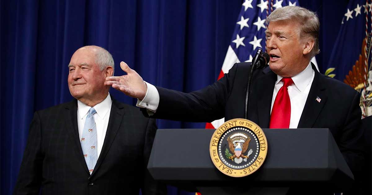 Trump promuove il CBD per gli anziani