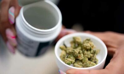 Vendita legale di cannabis in Germania