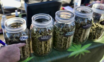 Vendita di cannabis durante i festival a Calgary