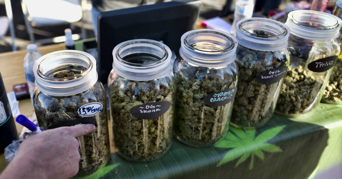 Vendita di cannabis durante i festival a Calgary