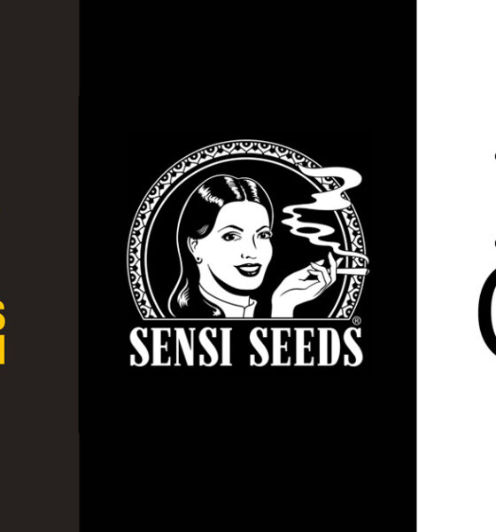 Fusione di Barney's Farm, Sensi Seeds e ILGM