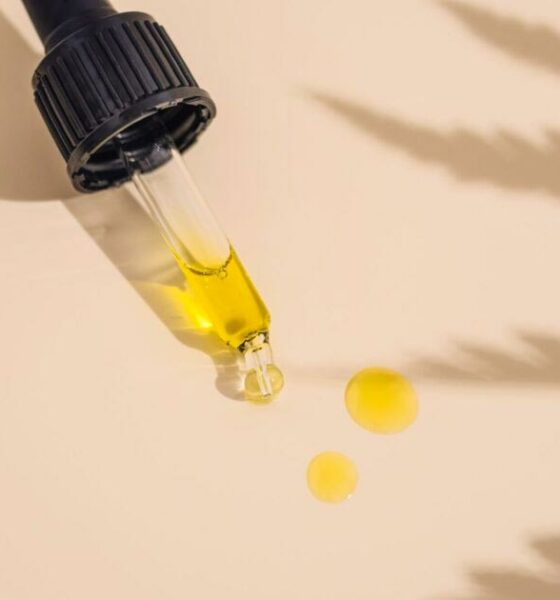 EFSA, Nuovi alimenti e CBD