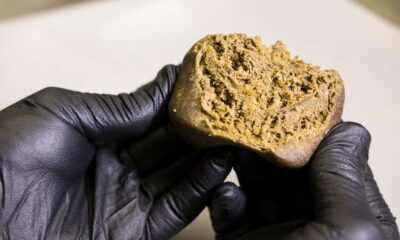 L'invecchiamento dell'hashish marocchino