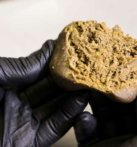 L'invecchiamento dell'hashish marocchino
