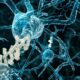 CBD per la memoria e l'Alzheimer