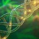 Studio su DNA e abuso di cannabis