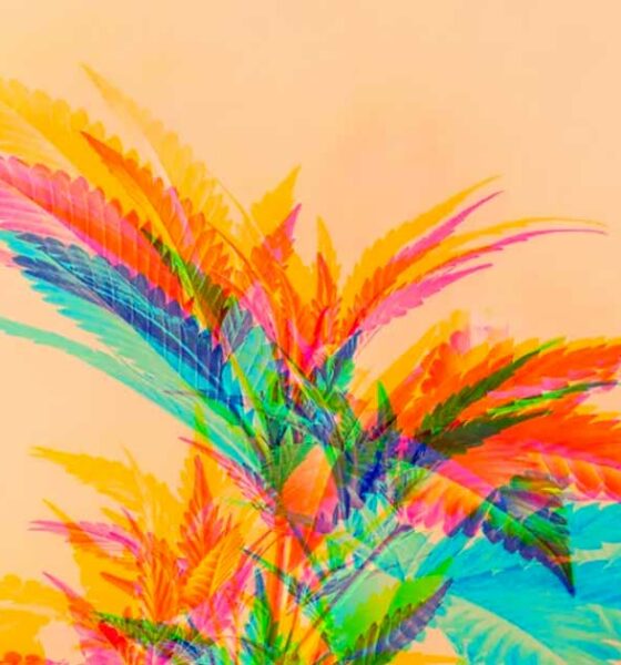 Prescrizione di cannabis terapeutica in Australia