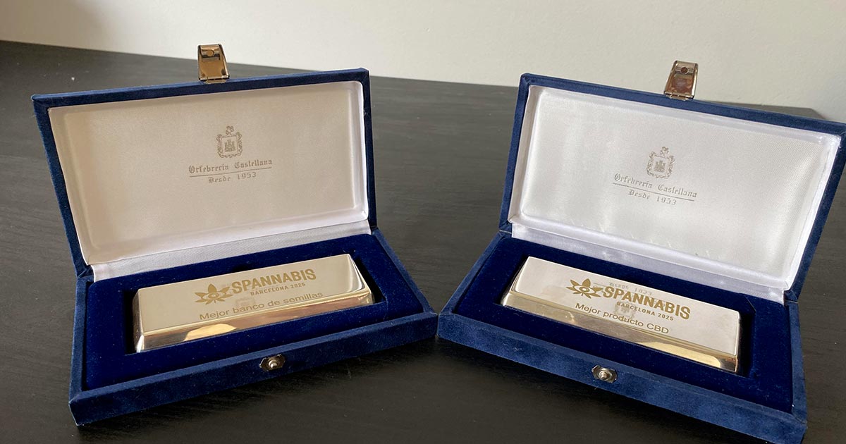 Cannabis Cups de Silent Seeds