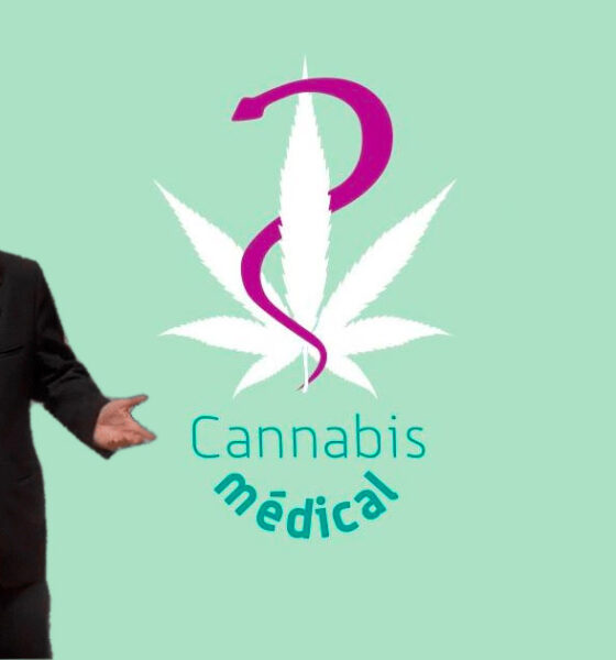 Cannabis medica non inclusa nel PLFSS 2025