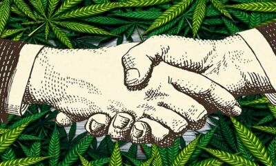 Fusioni e acquisizioni negli Stati Uniti