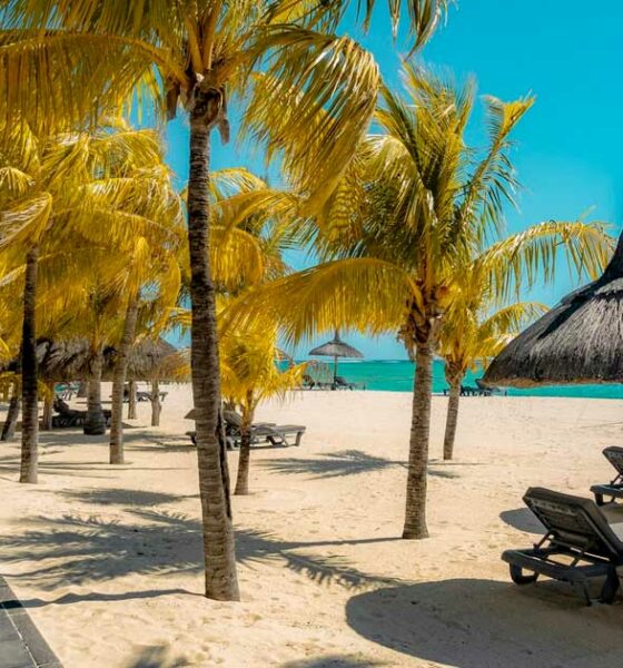 Mauritius considera la legalizzazione della cannabis