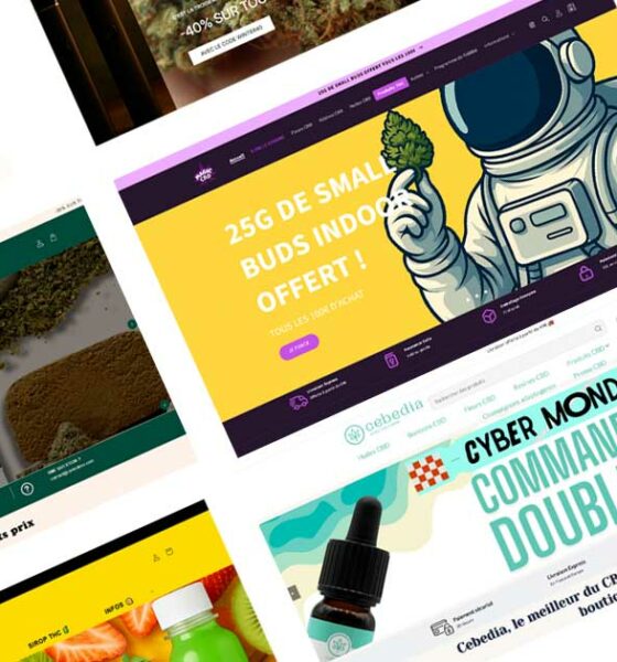 I migliori siti per acquistare CBD