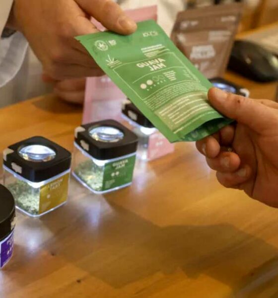 Il metodo svizzero per legalizzare la cannabis