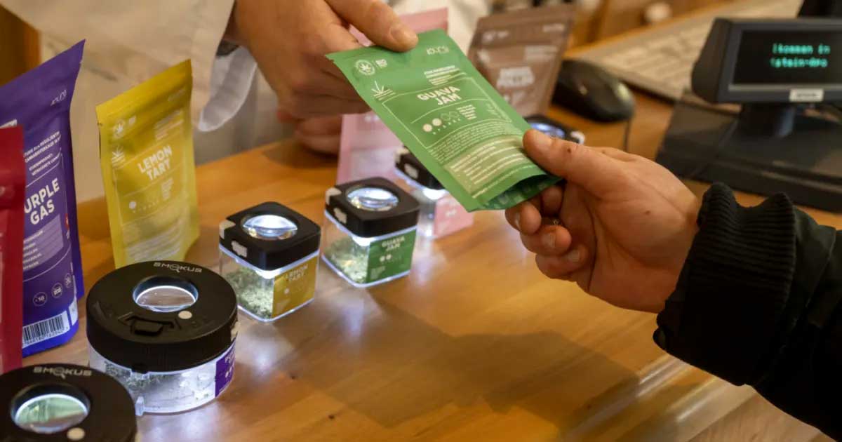 Il metodo svizzero per legalizzare la cannabis