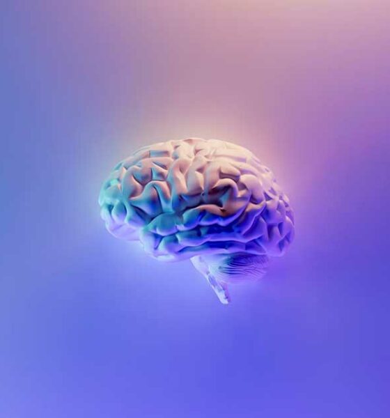 Potenziamento del cervello