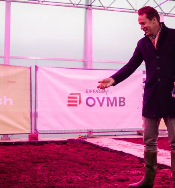 La canapa per combattere i PFAS a Gand