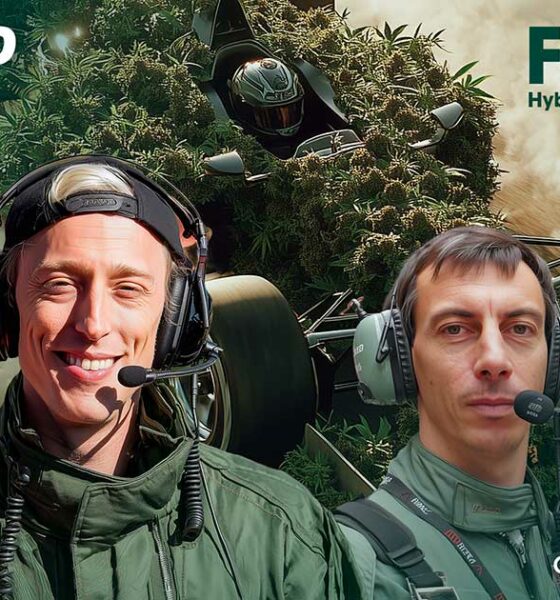 Ibrido F1 di Royal Queen Seeds