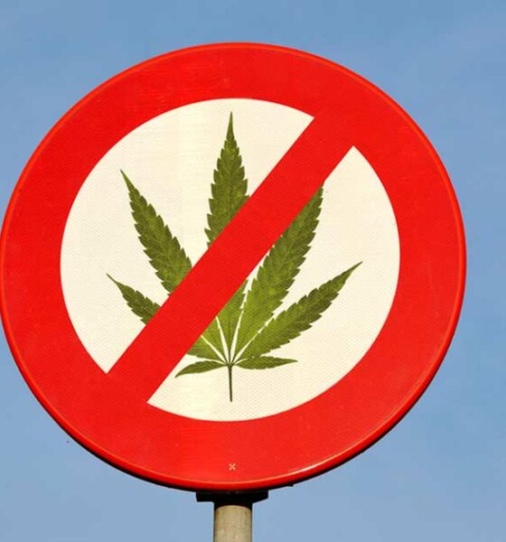 Finanziamenti anti-cannabis