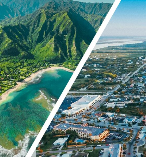 Legalizzazione della cannabis in Florida e nelle Hawaii