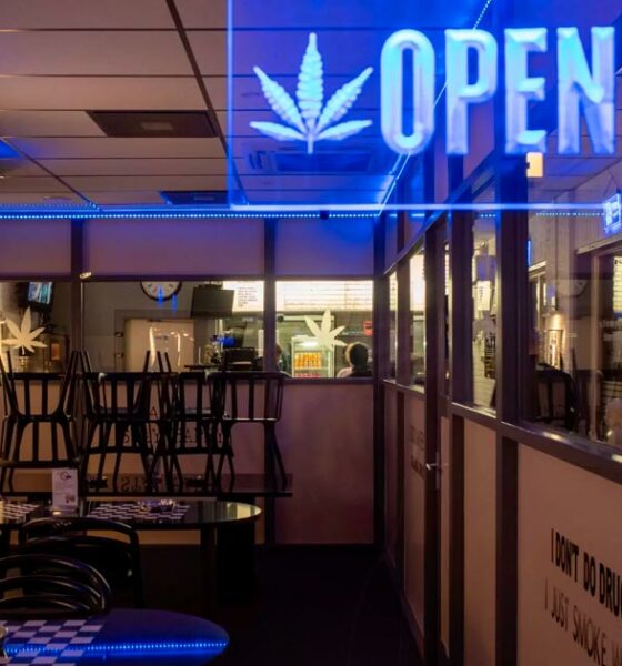 Piena legalizzazione della cannabis in Germania