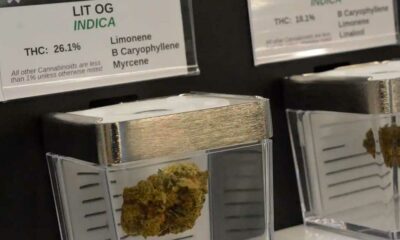 Vendita pubblica di cannabis in Minnesota