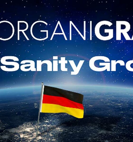 Organigramma e sanità mentale