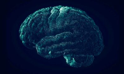 THC e malattia di Alzheimer