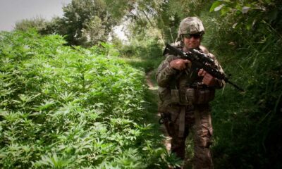 L'esercito americano e la cannabis