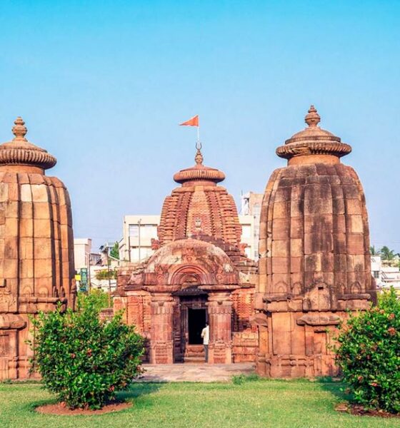 Ricerca sulla cannabis in India