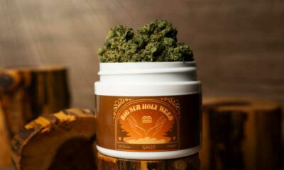 Erba sacra del Big Sur