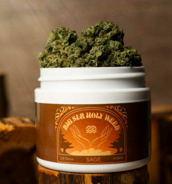 Erba sacra del Big Sur