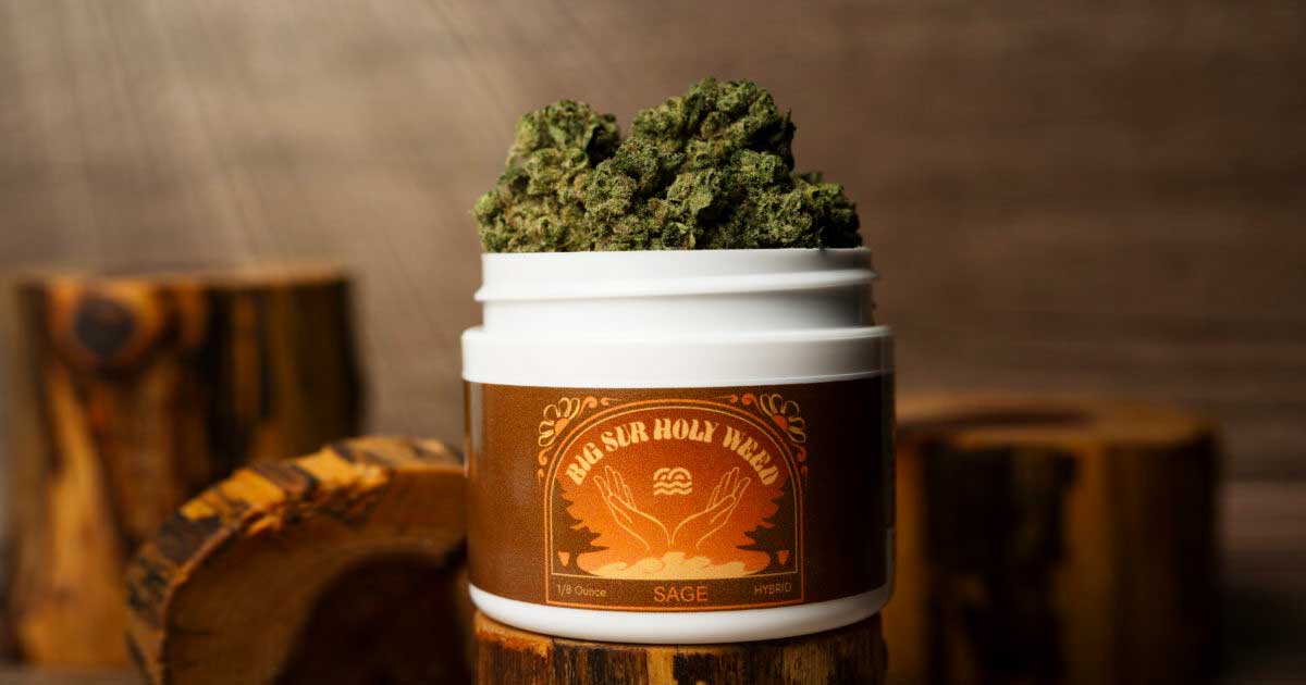 Erba sacra del Big Sur