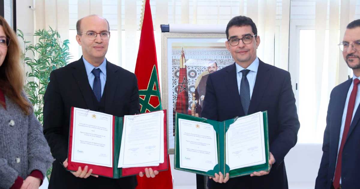 Registrazione semplificata dei prodotti a base di cannabis in Marocco