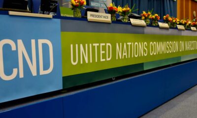 Il pannello della CND alle Nazioni Unite