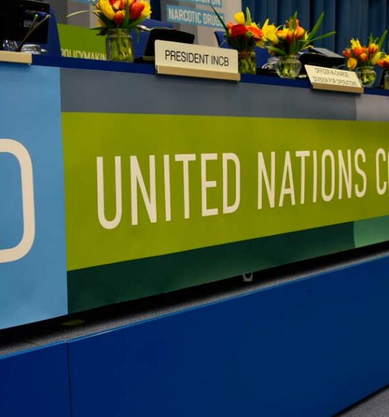 Il pannello della CND alle Nazioni Unite