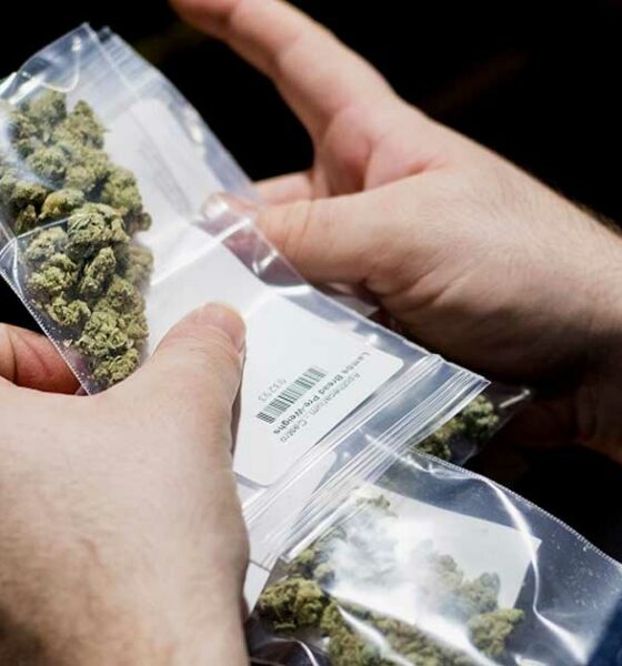 La polizia tedesca chiede una maggiore legalizzazione della cannabis