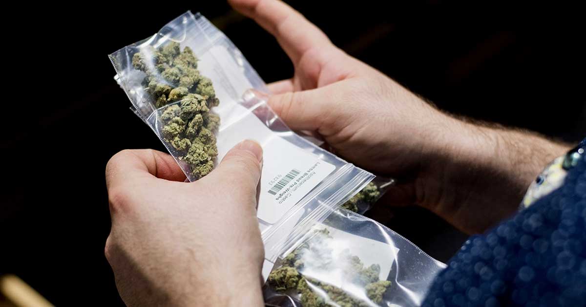 La polizia tedesca chiede una maggiore legalizzazione della cannabis